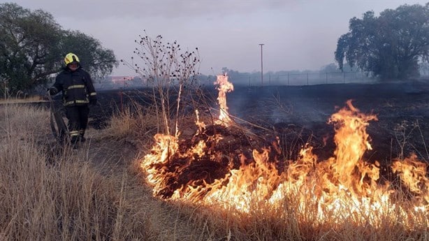 ¿Cómo actuar ante los incendios forestales? Así puedes cuidarte