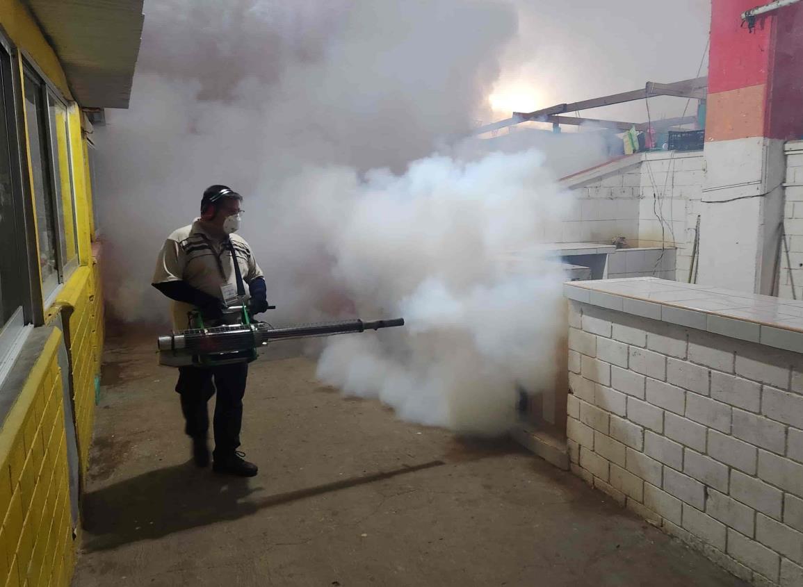 ‘Refuerzan medidas en Salud Pública con fumigación de mercados para prevenir el Dengue’