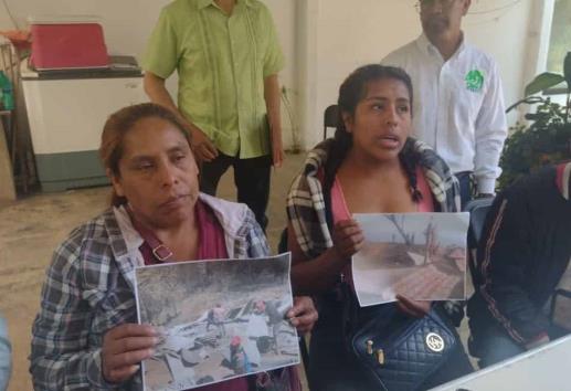 Incendios en Veracruz no solo afectaron árboles; campesinos piden apoyo