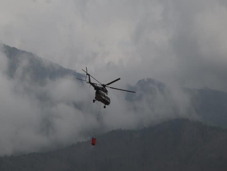 Controlan por completo los incendios forestales de las Altas Montañas de Veracruz