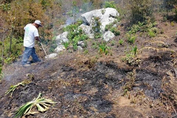 Se reactiva el fuego en Soledad Atzompa; en alerta cuerpos de tarea