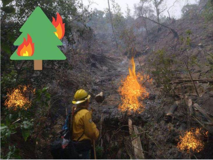 Se avanza en la batalla contra el fuego; casi bajo control incendios en Veracruz