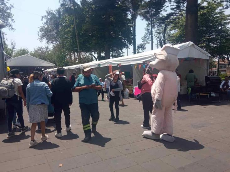 Festín de sabores: ¡Ya inició el Festival del Taco en Xalapa!