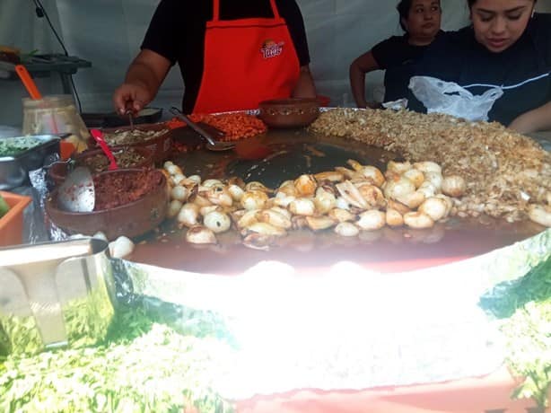 Festín de sabores: ¡Ya inició el Festival del Taco en Xalapa!