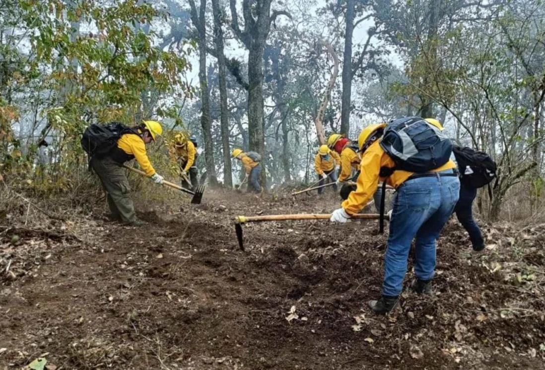 Sofocan incendio forestal en Soledad Atzompa, Veracruz