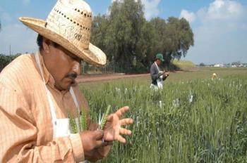 México toma medidas para salvaguardar la seguridad agroalimentaria