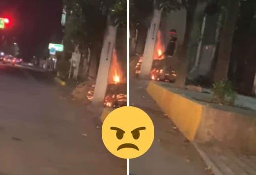 Captan a sujeto prendiendo fuego a un árbol en la avenida Xalapa
