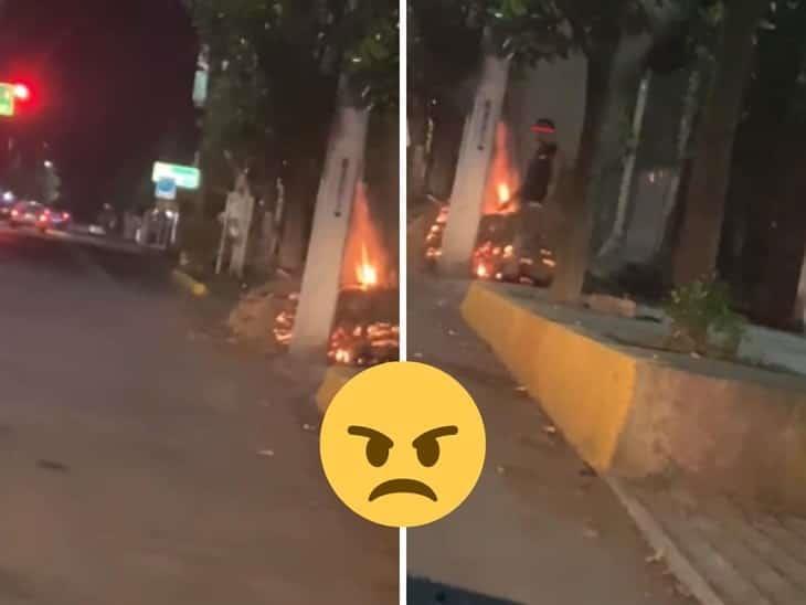 Captan a sujeto prendiendo fuego a un árbol en la avenida Xalapa