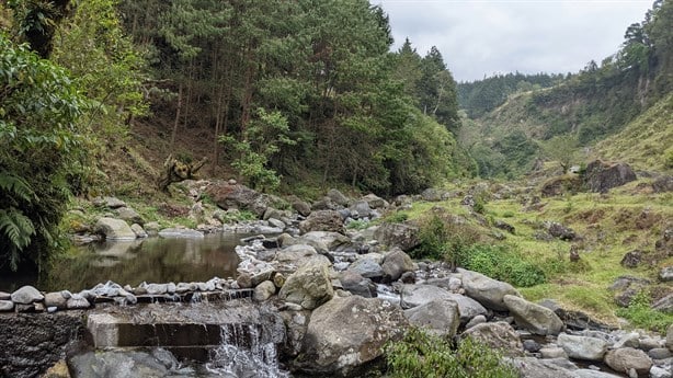 ¿Conoces el rincón de la trucha?: disfruta de la naturaleza a una hora de Xalapa 