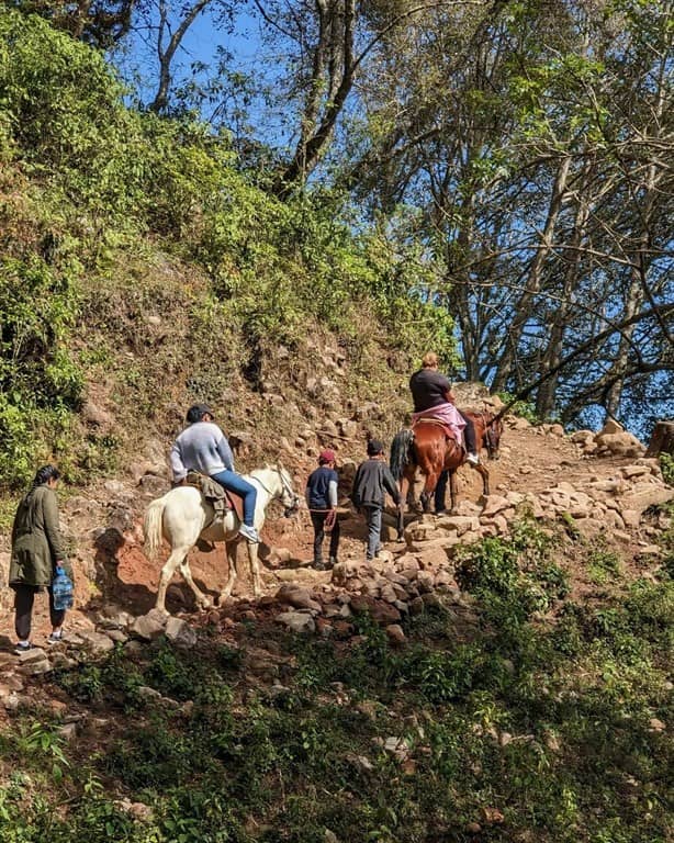 ¿Conoces el rincón de la trucha?: disfruta de la naturaleza a una hora de Xalapa 