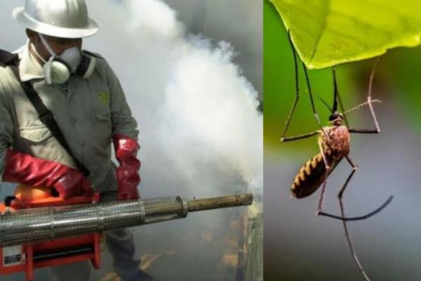Veracruz, entre los estados con peor combate contra el dengue; ¿Qué lugar ocupa?