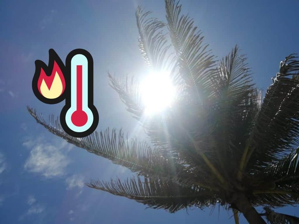 En esta fecha llega la segunda ola de calor, habrá hasta 10 días con más de 45°