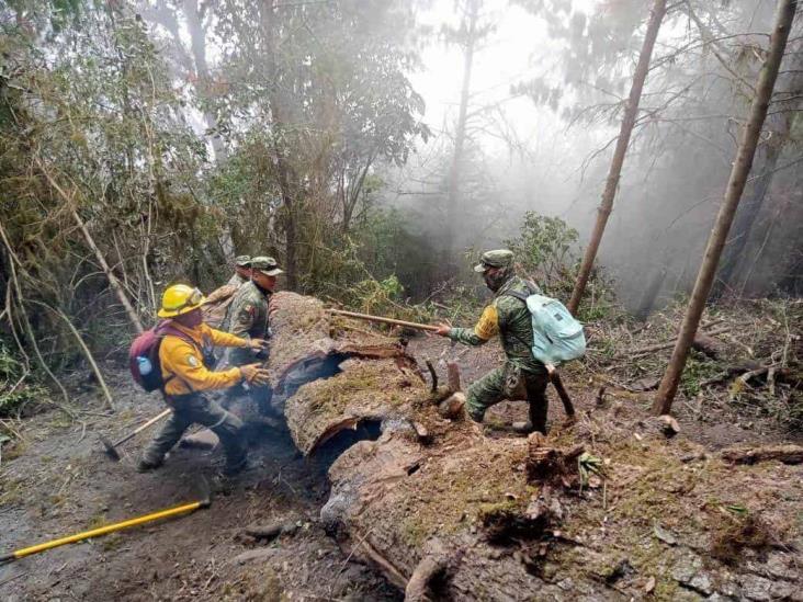 Liquidan incendios forestales registrados en las Altas Montañas