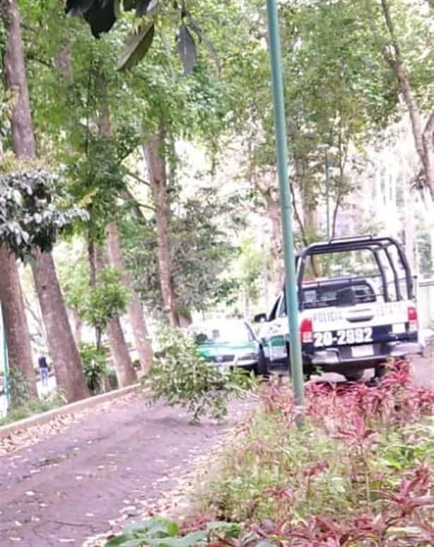 Daños materiales deja choque de patrulla y taxi en zona UV, en Xalapa