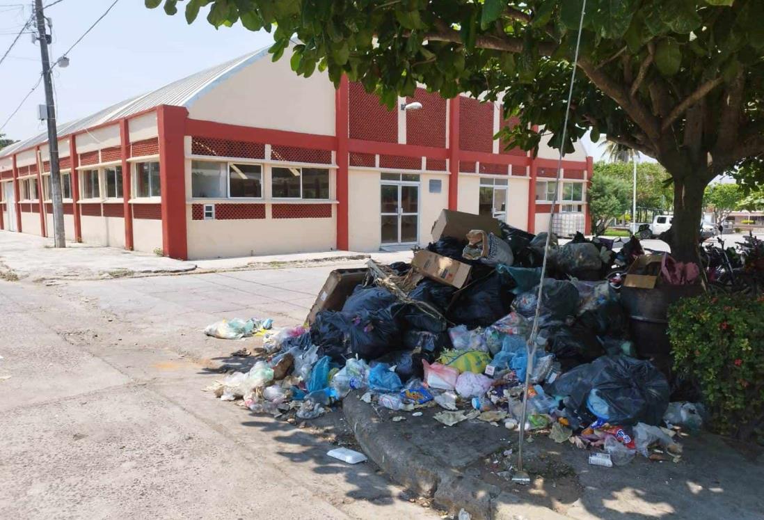 Vecinos denuncian falta de recolección de basura en Manlio Fabio Altamirano