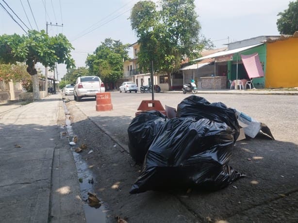 Vecinos denuncian falta de recolección de basura en Manlio Fabio Altamirano