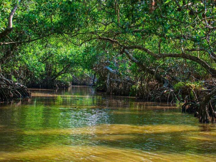 Tecolutla y Tajín, dos atractivos veracruzanos en uno