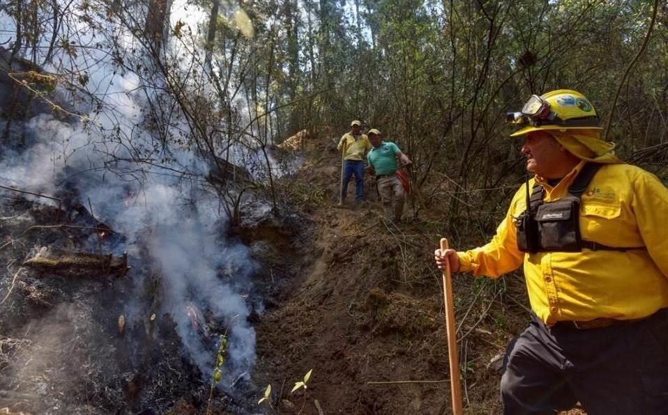 Combaten incendios forestales en las Altas Montañas de Veracruz