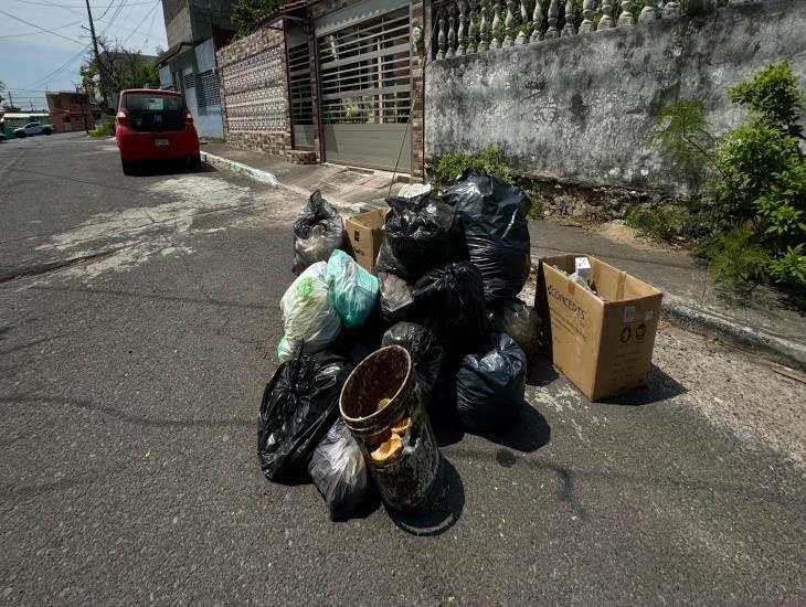 Ciudadanos de colonia en Veracruz llevan 15 días viviendo entre basura