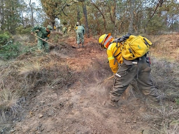 Extinguen todos los incendios forestales de las altas montañas