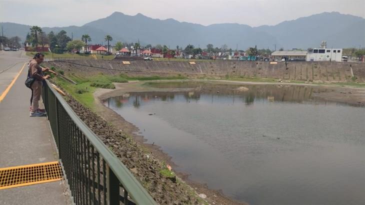 Se seca la Laguna del Chirimoyo: hay especies en riesgo; ayuntamiento ni sus luces