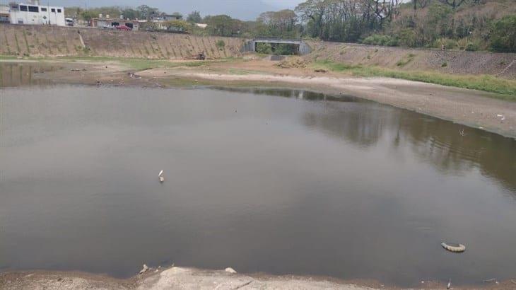 Se seca la Laguna del Chirimoyo: hay especies en riesgo; ayuntamiento ni sus luces