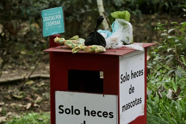 Así luce el parque de La Señoría en Xalapa; ¡qué vergüenza!