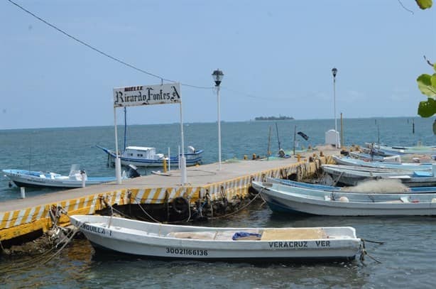 80% de los pescadores de Veracruz son adultos mayores, dice líder del sector