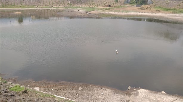 Alerta por dengue  obliga a limpieza de Laguna del Chirimoyo, en Orizaba