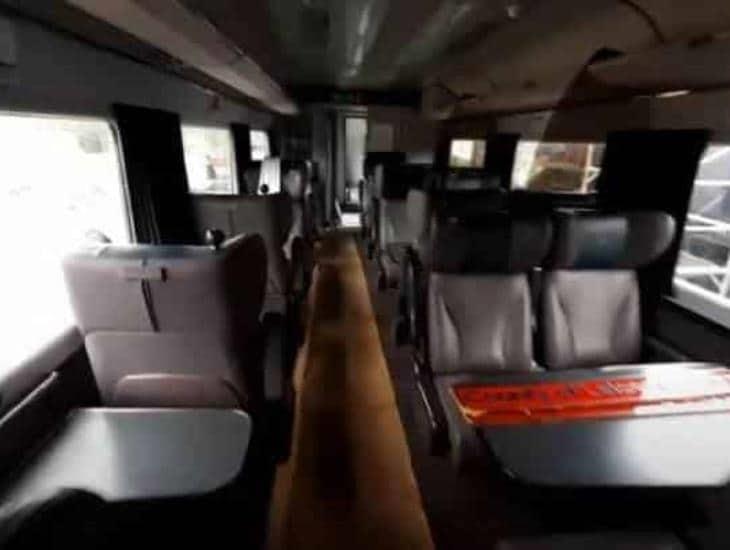 Tren Interoceánico: así será el restaurante que habrá al interior de los vagones