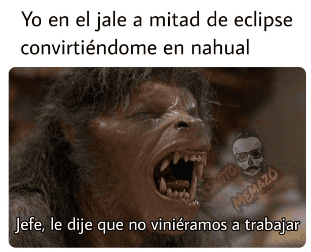 Estos son los mejores memes del eclipse de sol 2024