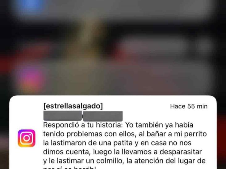 ¡Cuidado! Exhiben negligencia en la Veterinaria Piropo de Xalapa, casi matan a perrito