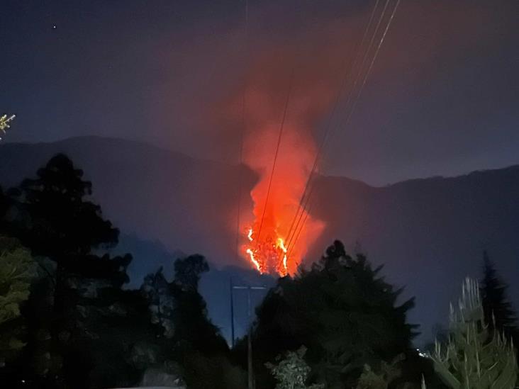 Incendio forestal causa alarma en comunidad de Atlahuilco