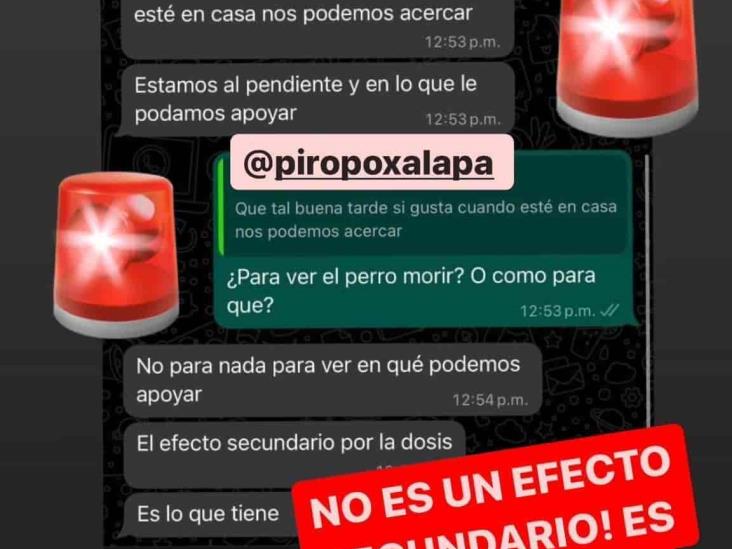 ¡Cuidado! Exhiben negligencia en la Veterinaria Piropo de Xalapa, casi matan a perrito