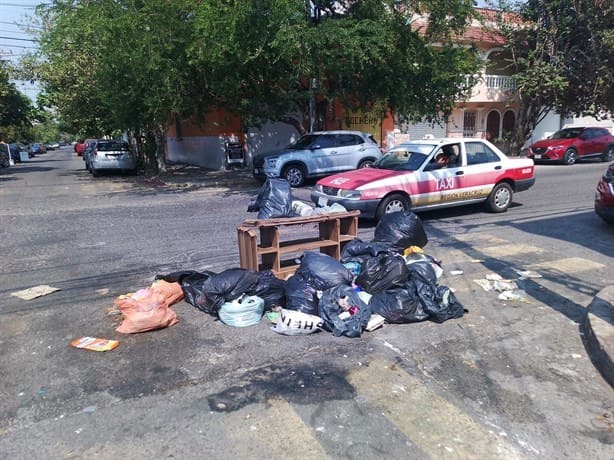 Montañas de basura en colonia Formando Hogar; camión recolector no pasa hasta en 15 días