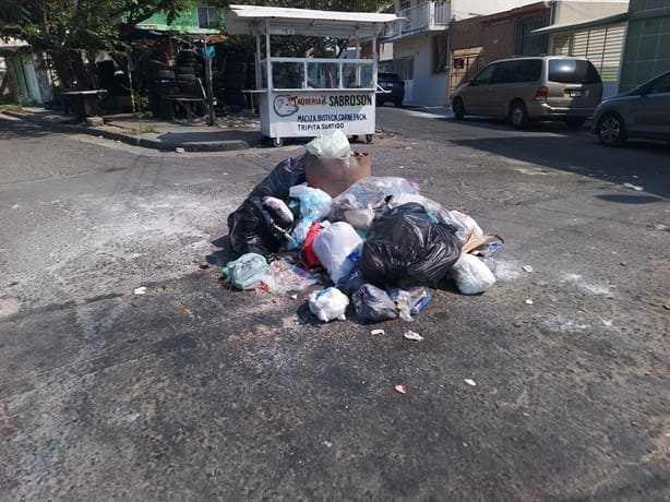 Montañas de basura en colonia Formando Hogar; camión recolector no pasa hasta en 15 días