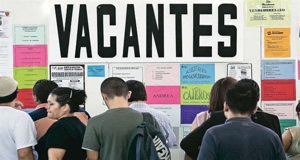 ¡Atento! Semarnat ofrece empleo con sueldo de 23 mil pesos; checa requisitos