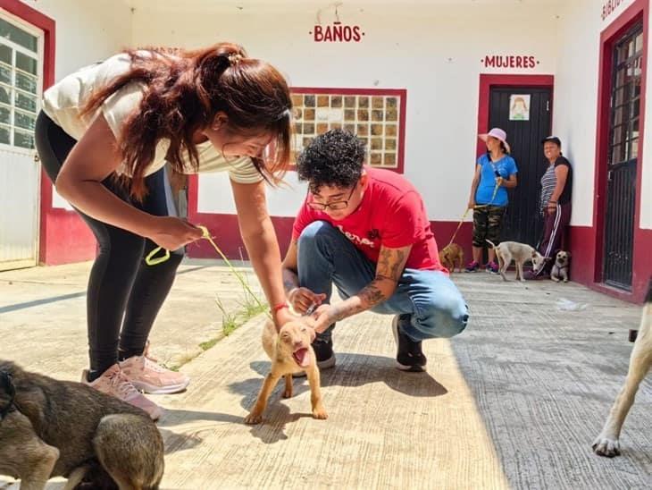 Realizan campaña de vacunación antirrábica en Camerino Mendoza