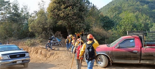 Incendio forestal avanza en las Altas Montañas de Veracruz