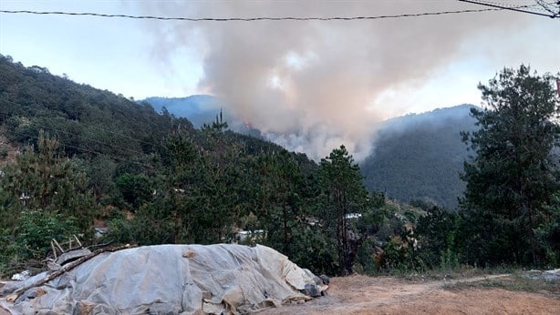 Incendio forestal avanza en las Altas Montañas de Veracruz