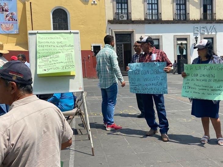 Cafetaleros se manifiestan en el centro de Xalapa; exhiben pérdidas económicas