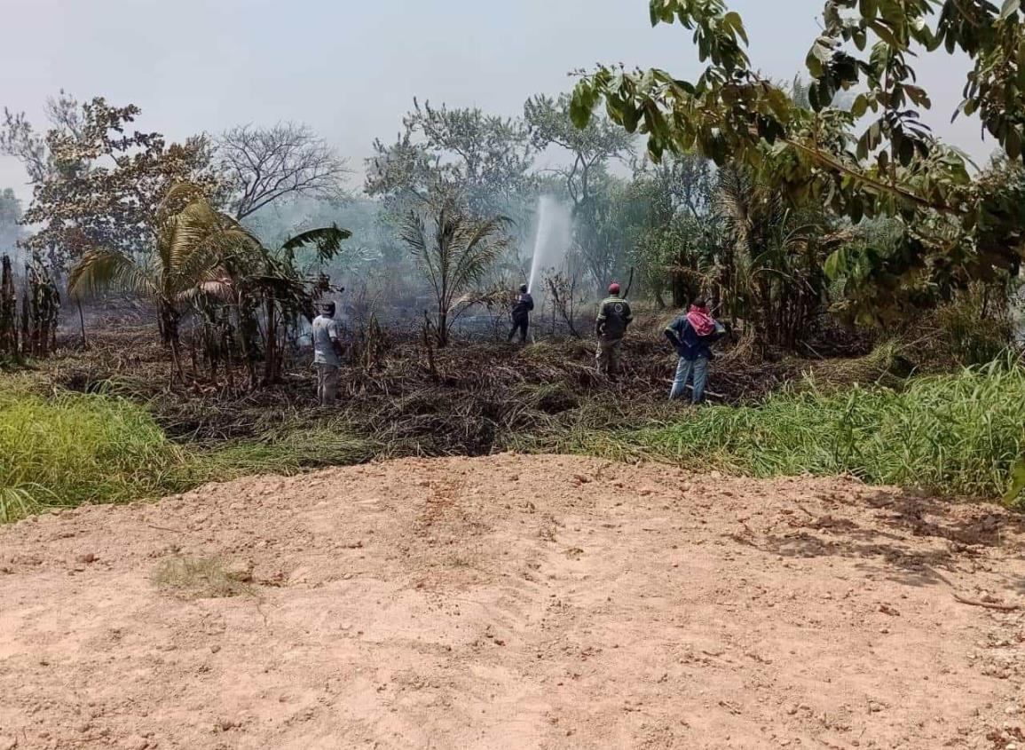 Se incendian pastizales en la explanada de Nanchital