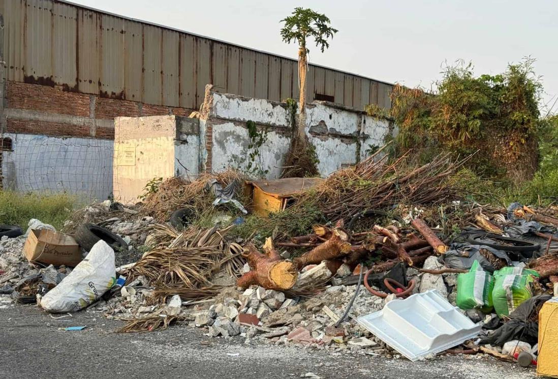Alertan sobre basurero clandestino en Veracruz