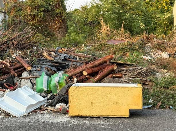 Alertan sobre basurero clandestino en Veracruz