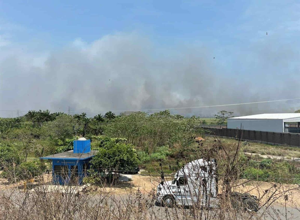 Bajo observación de Protección Civil incendio en pantanos