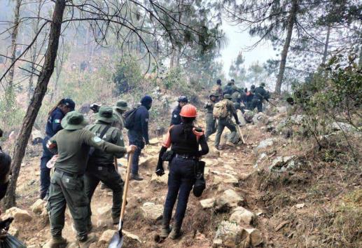 Brigadista sufre quemaduras durante combate de incendio en Atlahuilco