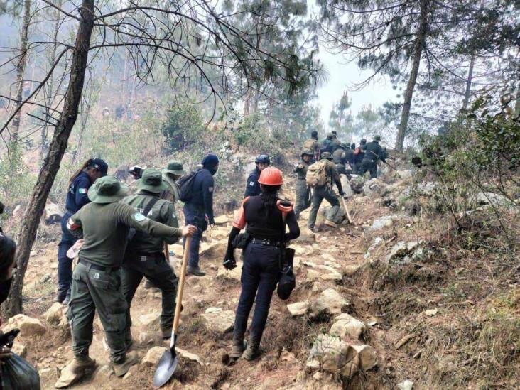 Brigadista sufre quemaduras durante combate de incendio en Atlahuilco