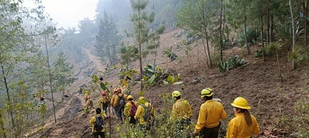 Brigadista sufre quemaduras durante combate de incendio en Atlahuilco