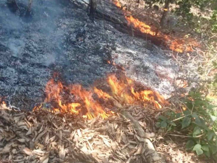 Incendio forestal en los límites de Naolinco y Tepetlán