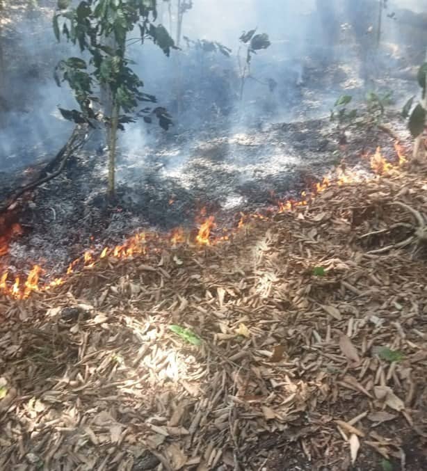 Incendio forestal en los límites de Naolinco y Tepetlán